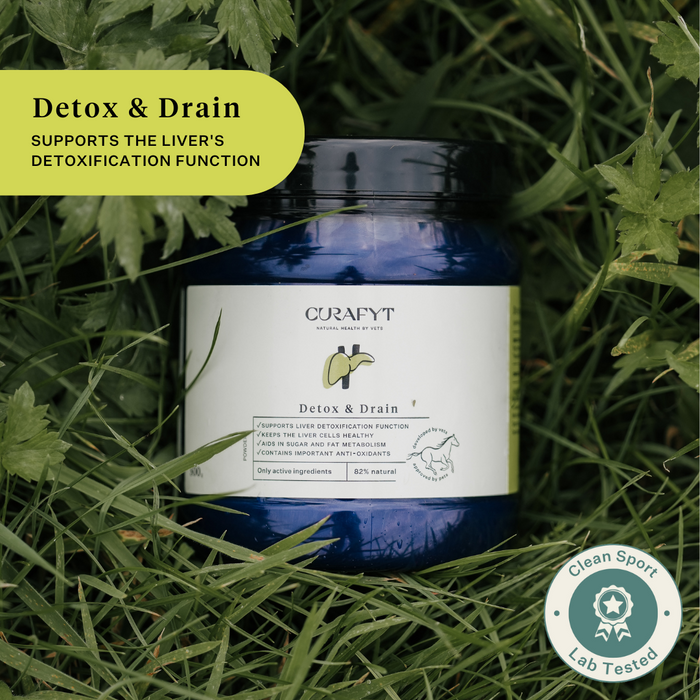 Detox and Drain Pot