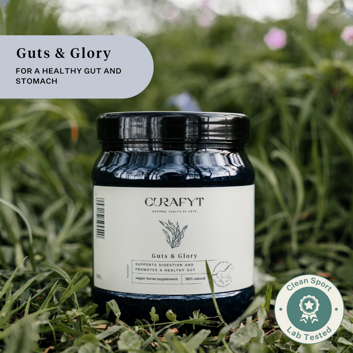 Guts and Glory Pot