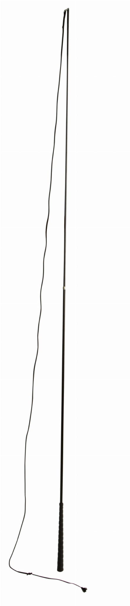 Bat do lonżowania z teleskopem czarny 200 cm Covalliero - Cavalo