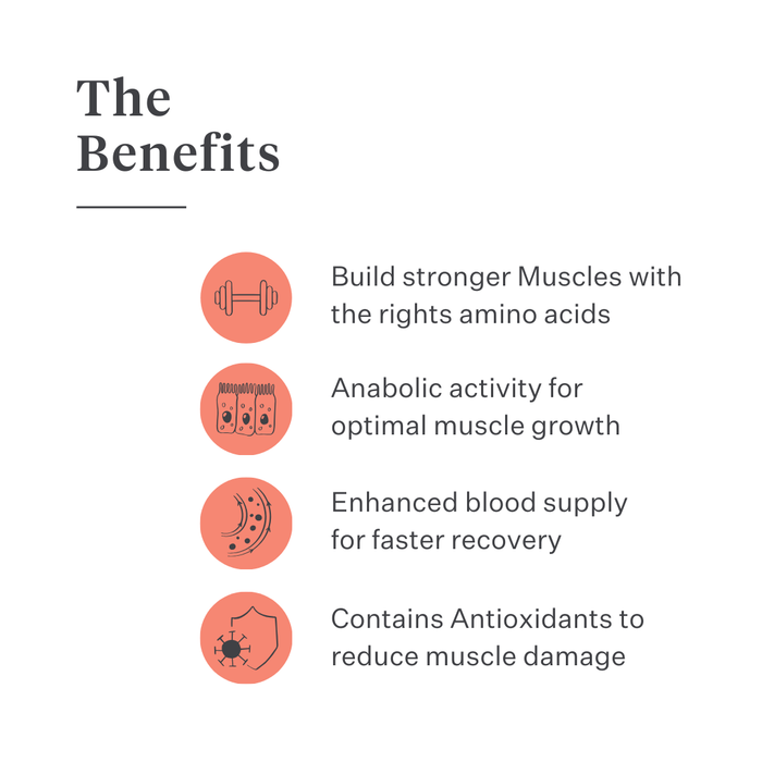 Body & Build supplement for horses, supports muscle mass building and recovery, rich in amino acids and natural ingredients, enhances strength and performance. | localization: EN