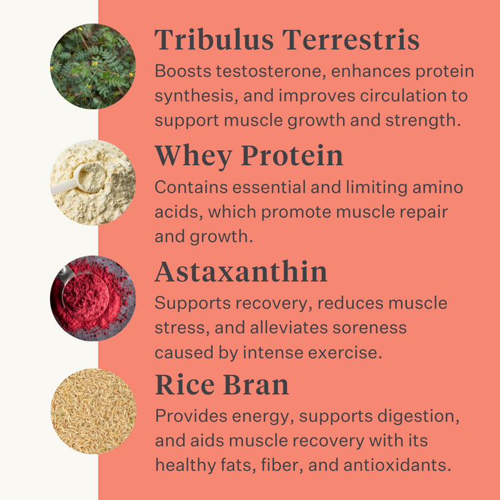 Body & Build supplement for horses, supports muscle mass building and recovery, rich in amino acids and natural ingredients, enhances strength and performance. | localization: EN