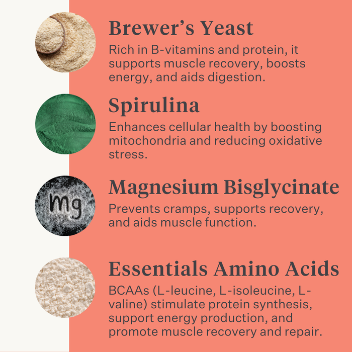 Body & Build supplement for horses, supports muscle mass building and recovery, rich in amino acids and natural ingredients, enhances strength and performance. | localization: EN