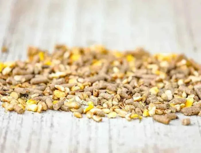 Cavalor Juniorix musli dla młodych koni i roczniaków 20kg