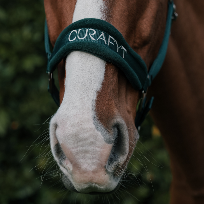 Curafyt Halter