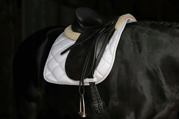 Czaprak Empara ujeżdzeniowy Covalliero czarny - Cavalo