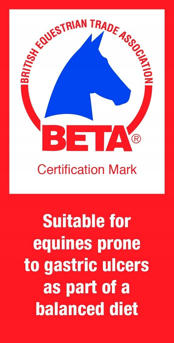 DENGIE pasza sieczka Healthy Tummy 20 kg - Cavalo