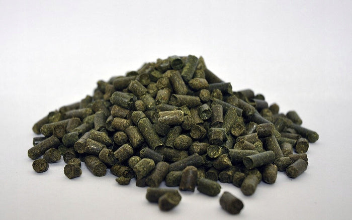 DENGIE pasza trawokulki Grass Pellets 20kg - Cavalo