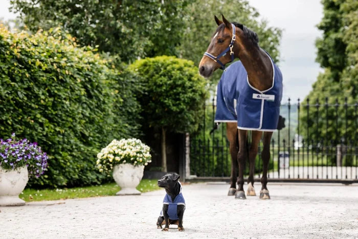Derka Bucas Freedom Turnout High Neck 150g Navy/Silver - Cavalo