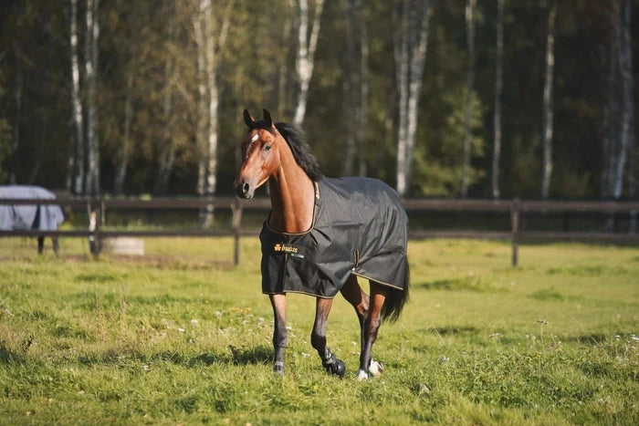 Derka Bucas Irish Turnout 0g Navy/Gold - Cavalo