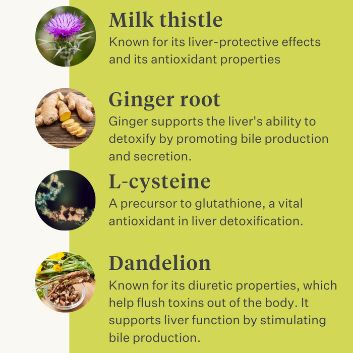 Detox&Drain liver detox liver support horses pony liver health detoxification | localization: EN
