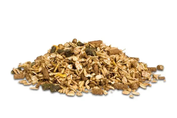 Dodson & Horrell Sixteen Plus Mix Musli dla starszych koni 20 kg - Cavalo