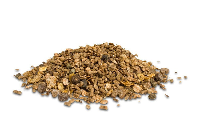 Dodson & Horrell  Staypower Muesli 20kg dla koni w intensywnym treningu - Cavalo