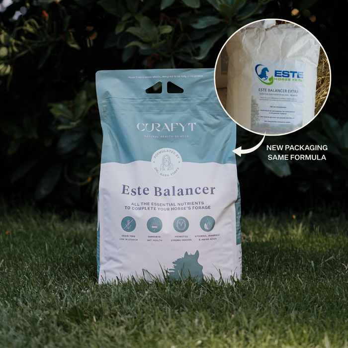 ESTE BALANCER by Dr. Sara Torfs