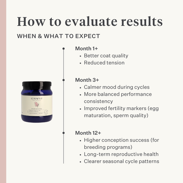 mare foal horse pony fertility womb estrus mare behavior cycle in heat equine hormone balance| localization: EN
