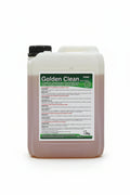 GOLDEN CLEAN PAVIMENTI 5KG