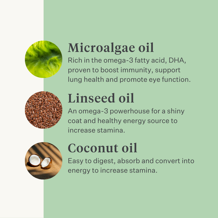 supplement cold pressed oil horse stamina weight muscles vitamin E linseed oil DHA EPA omega-3 | localization: EN