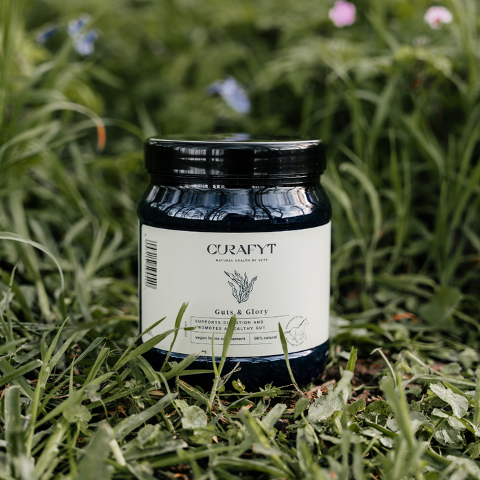 Guts & Glory Supplement