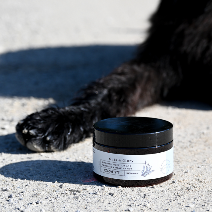dog paw Guts and Glory