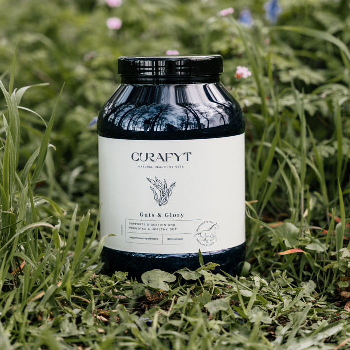 Guts & Glory Supplement