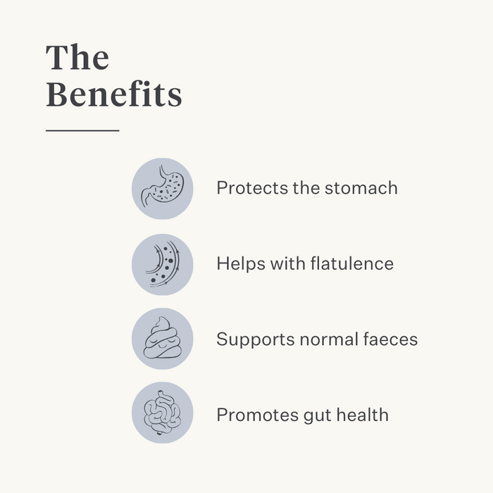 horse pony gut colic gas stomach ulcers probiotics prebiotics flaxseed diarrhea watery feces soft feces | localization: EN