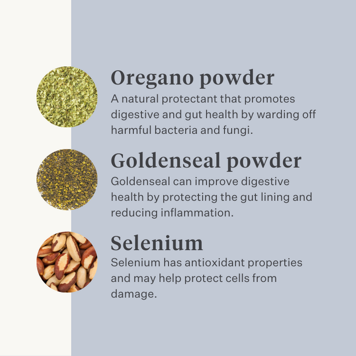 vegan dog supplement gut stomach digestion farts probiotics prebiotics digestive enzymes | localization: EN