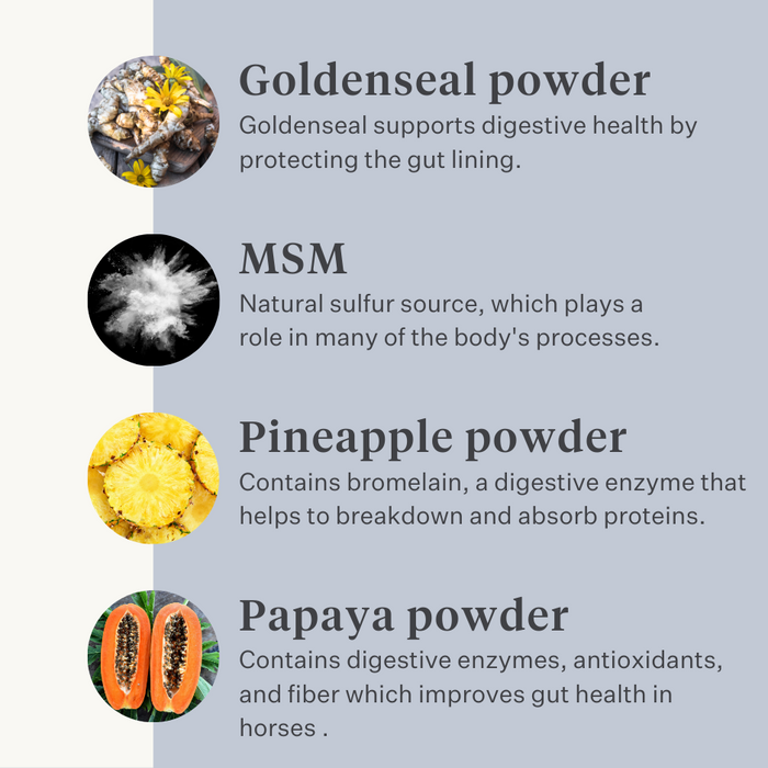 horse pony gut colic gas stomach ulcers probiotics prebiotics flaxseed diarrhea watery feces soft feces | localization: EN