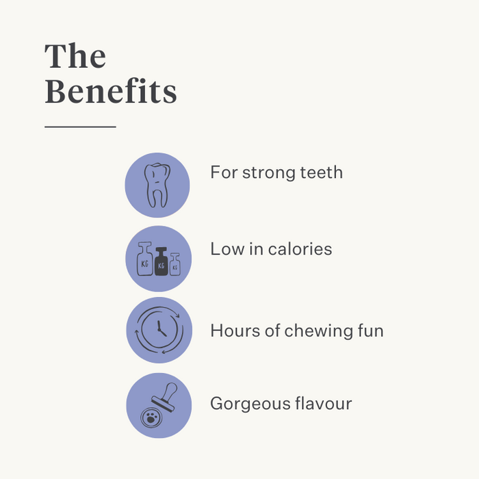 dog puppy chew bone himalayan cheese natural long-lasting durable dental health tartar plaque lactose-free protein-rich | localization: EN