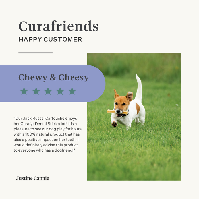 dog puppy chew bone himalayan cheese natural long-lasting durable dental health tartar plaque lactose-free protein-rich | localization: EN