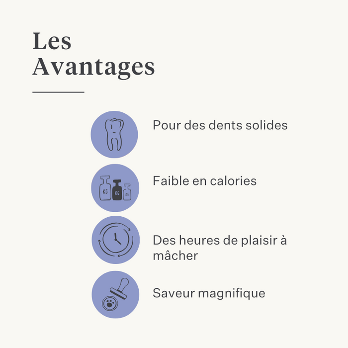 chien chiot os à mâcher fromage de l’Himalaya naturel longue durée résistant santé dentaire tartre plaque sans lactose riche en protéines | localization: FR