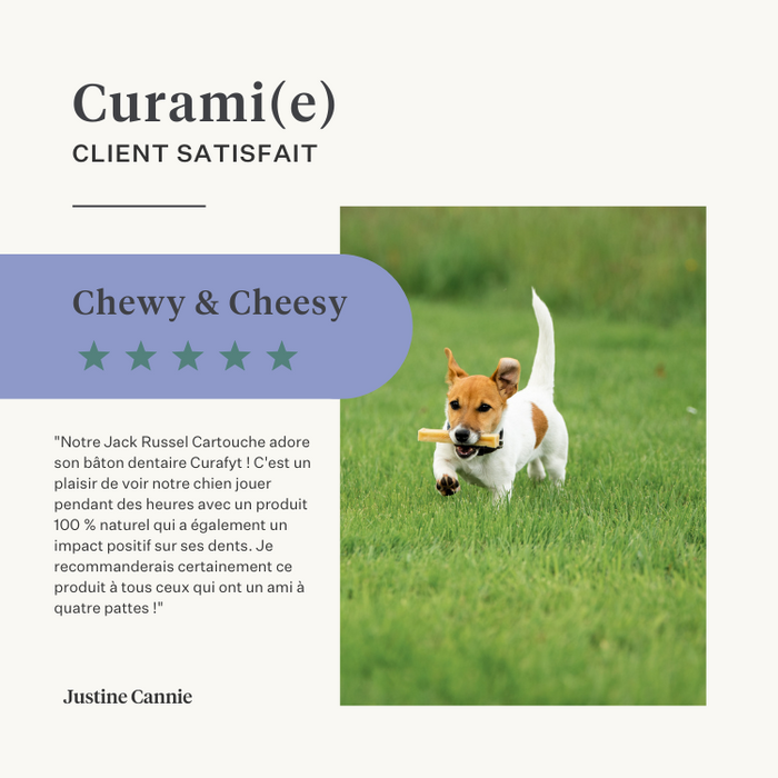 chien chiot os à mâcher fromage de l’Himalaya naturel longue durée résistant santé dentaire tartre plaque sans lactose riche en protéines | localization: FR