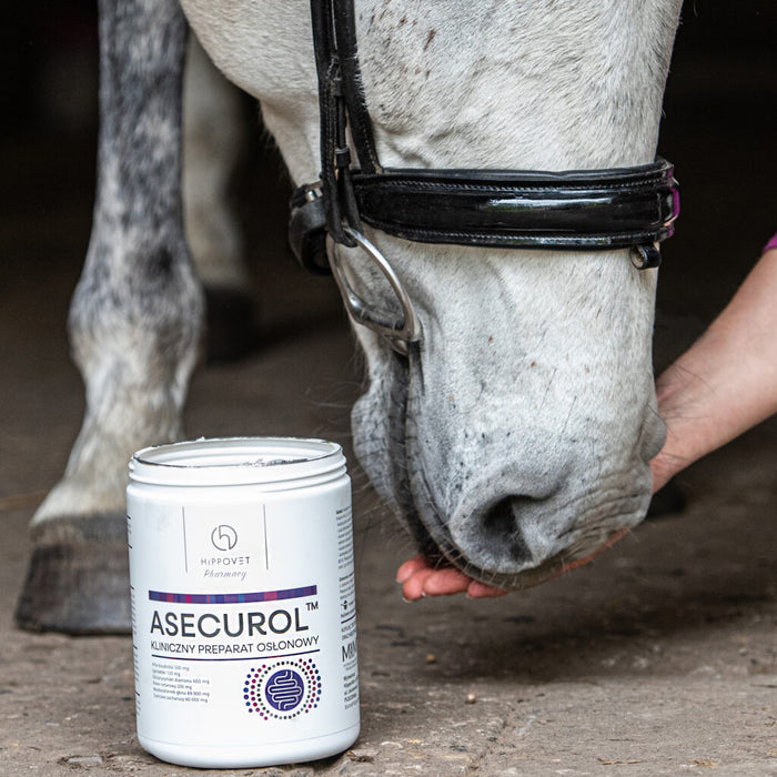 Hippovet Pharmacy Asecurol kliniczny preparat osłonowy 1kg
