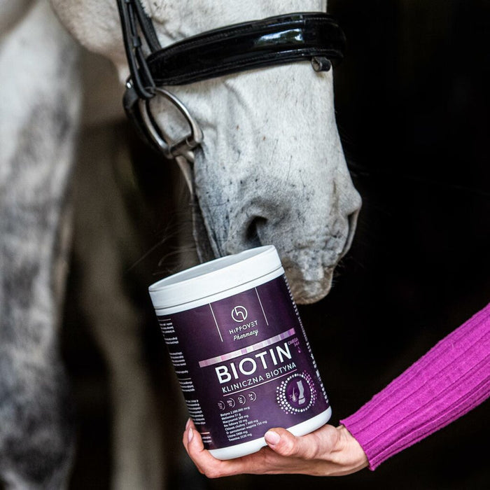 Hippovet Pharmacy Biotin 1kg