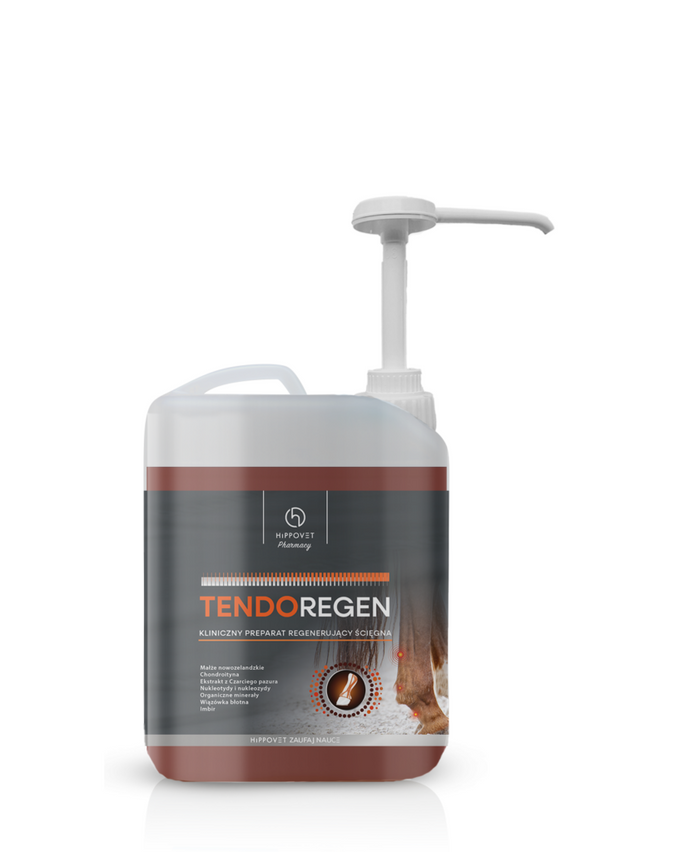 Hippovet Pharmacy TendoRegen regeneracja i wzmocnienie ścięgien