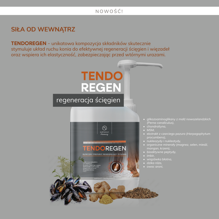Hippovet Pharmacy TendoRegen regeneracja i wzmocnienie ścięgien