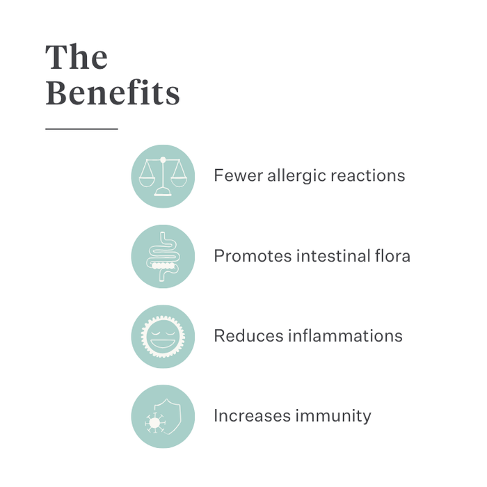 Imby Allergy & Itch supplement for dogs, supports skin health and reduces itching, helps maintain a strong skin barrier and balanced immune function, supports skin comfort through the gut-skin axis, hypoallergenic formula suitable for daily use. | localization: EN