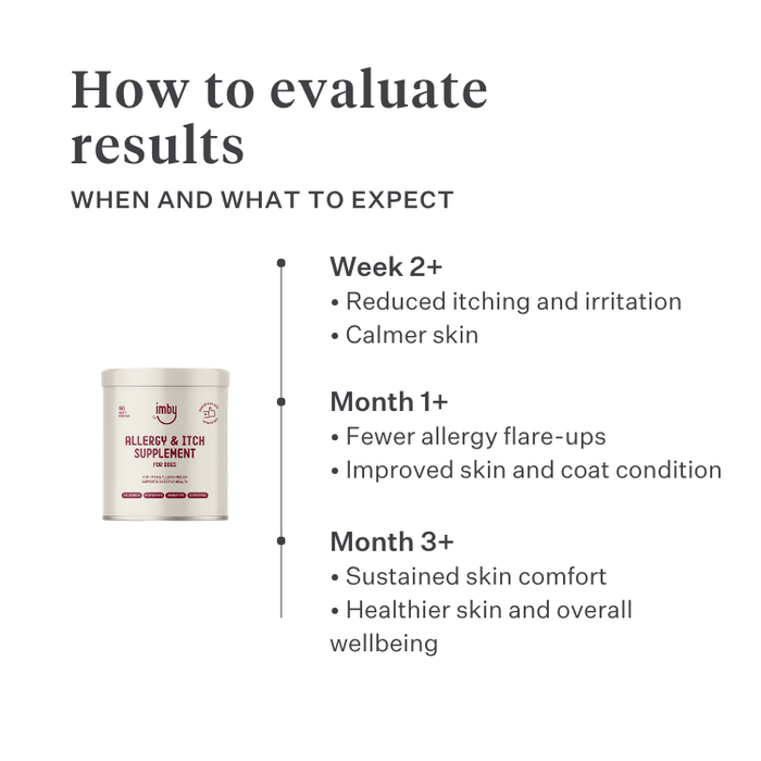 Imby Allergy & Itch supplement for dogs, supports skin health and reduces itching, helps maintain a strong skin barrier and balanced immune function, supports skin comfort through the gut-skin axis, hypoallergenic formula suitable for daily use. | localization: EN