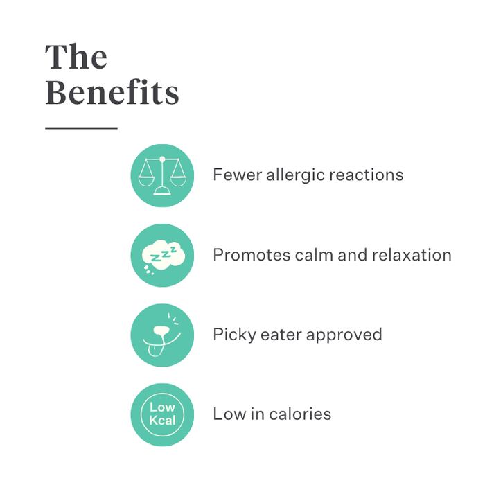 Imby Bed Time calming snacks for dogs, plant-based biscuits with chamomile and curcuma, supports relaxation and calm behaviour, helps soothe dogs and support joint health, natural bedtime treat for a peaceful night, highly palatable snack. | localization: EN