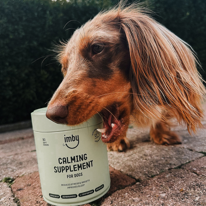 IMBY Calm & Chill Supplement