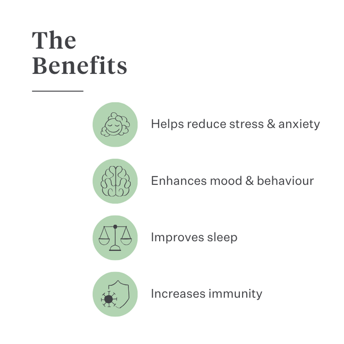 Imby Calm & Chill supplement for dogs, supports calm behaviour and emotional balance, helps dogs relax without dulling personality, supports the nervous system during stress, hypoallergenic formula suitable for daily use, helps dogs cope with noise, travel and changes. | localization: EN