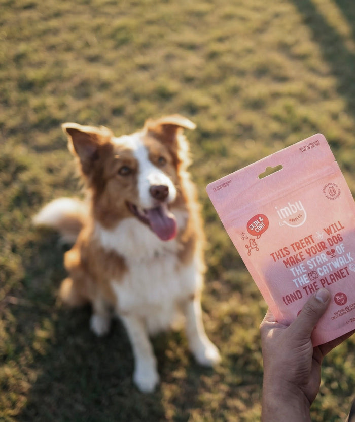 IMBY Daytime Dog Snacks