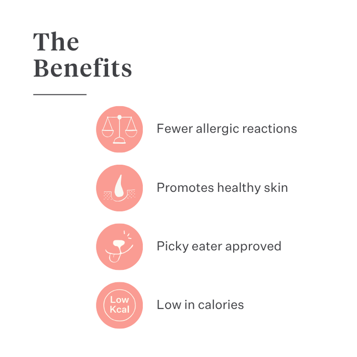 Imby Day Time dog snacks, insect-based biscuits for dogs, supports skin health and a shiny coat, enriched with natural ingredients like arctium, red clover and viola tricolor, helps stimulate circulation, sustainable and highly palatable snack for daily rewards. | localization: EN