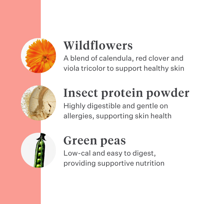 Imby Day Time dog snacks, insect-based biscuits for dogs, supports skin health and a shiny coat, enriched with natural ingredients like arctium, red clover and viola tricolor, helps stimulate circulation, sustainable and highly palatable snack for daily rewards. | localization: EN