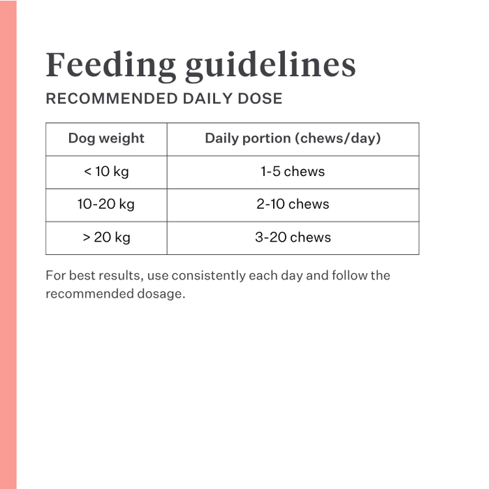 Imby Day Time dog snacks, insect-based biscuits for dogs, supports skin health and a shiny coat, enriched with natural ingredients like arctium, red clover and viola tricolor, helps stimulate circulation, sustainable and highly palatable snack for daily rewards. | localization: EN