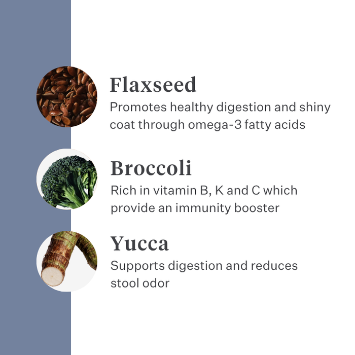 Imby Sensitive dog food, complete insect-based dry food for dogs with food allergies, supports digestion and skin health, grain-free with prebiotics and natural ingredients, vet-developed balanced formula, highly palatable kibble. | localization: EN
