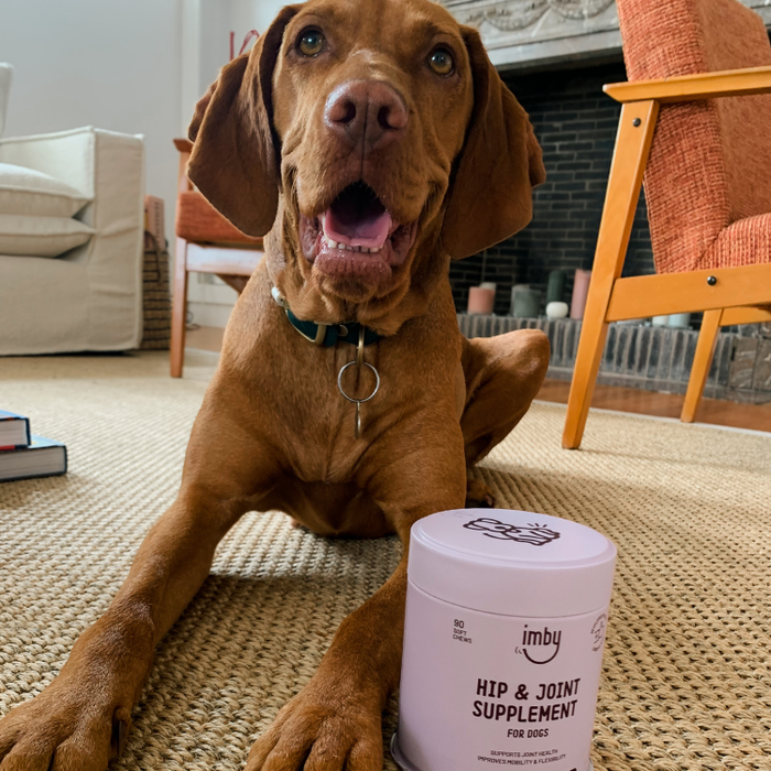 IMBY Hip & Joint Supplement