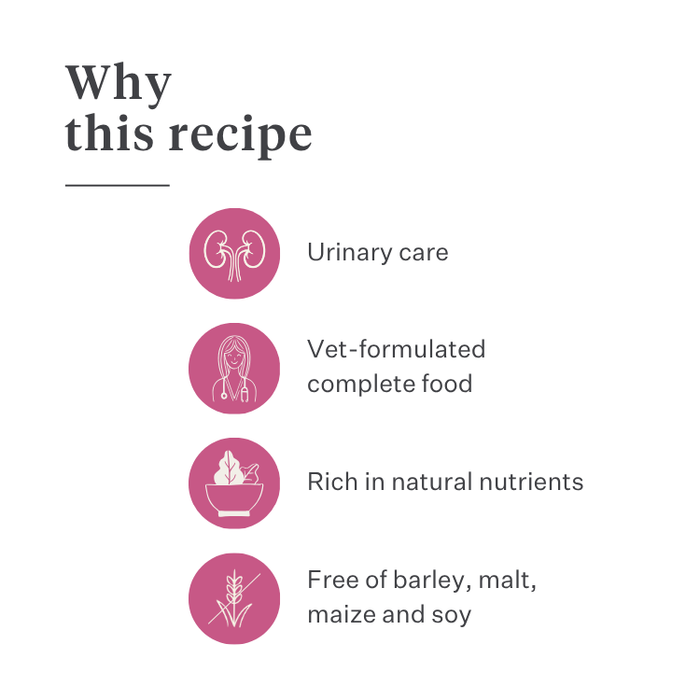 Imby Vitality cat food, complete hypoallergenic dry food for cats, made with insect protein and natural superfoods, supports overall health and wellbeing, helps maintain urinary health and joint support, balanced formula developed by vets, highly palatable kibble. | localization: EN