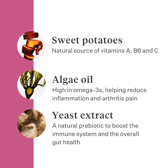 Imby Vitality cat food, complete hypoallergenic dry food for cats, made with insect protein and natural superfoods, supports overall health and wellbeing, helps maintain urinary health and joint support, balanced formula developed by vets, highly palatable kibble. | localization: EN