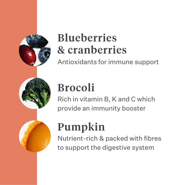 Imby Vitality dog food, complete everyday dry food for dogs of all breeds and life stages, based on hypoallergenic insect protein, supports digestion and overall wellbeing, highly digestible and eco-conscious nutrition, balanced formula developed by vets, highly palatable kibble. | localization: EN