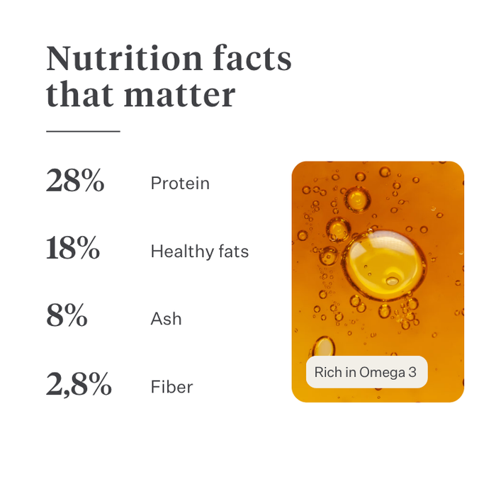 Imby Vitality dog food, complete everyday dry food for dogs of all breeds and life stages, based on hypoallergenic insect protein, supports digestion and overall wellbeing, highly digestible and eco-conscious nutrition, balanced formula developed by vets, highly palatable kibble. | localization: EN
