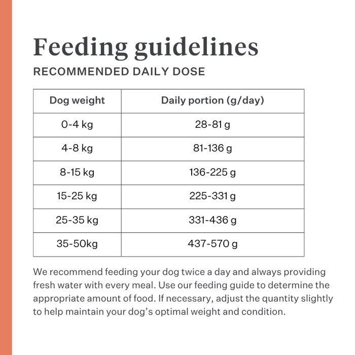Imby Vitality dog food, complete everyday dry food for dogs of all breeds and life stages, based on hypoallergenic insect protein, supports digestion and overall wellbeing, highly digestible and eco-conscious nutrition, balanced formula developed by vets, highly palatable kibble. | localization: EN